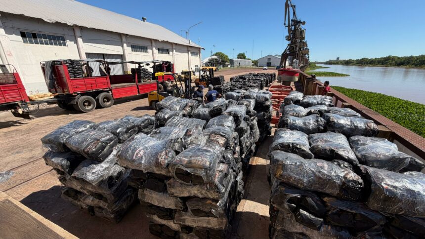 Puerto De Barranqueras: Productores Del Norte Exportaron Carbón Vegetal A Brasil