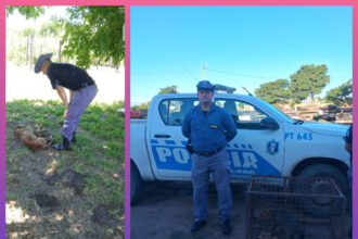 CHACO: Intervenciones Rurales Permitieron Asistir A Un Perro En Mal Estado Y Rescatar Un Cachorro De Zorro