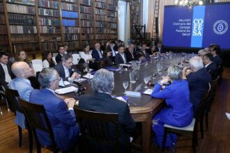 Salud: Récord Histórico En Donación De órganos, Eje Del último Cofesa Del Año