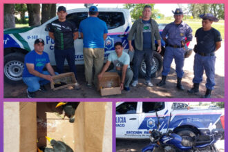 CHACO: Vendía Tucanes Por Redes Sociales Y La Policía Le Tendió Una Trampa