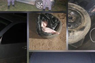 MAKALLÉ: Pretendían Huir Tras Evadir De Un Control Por Transportar Un Animal Faenado
