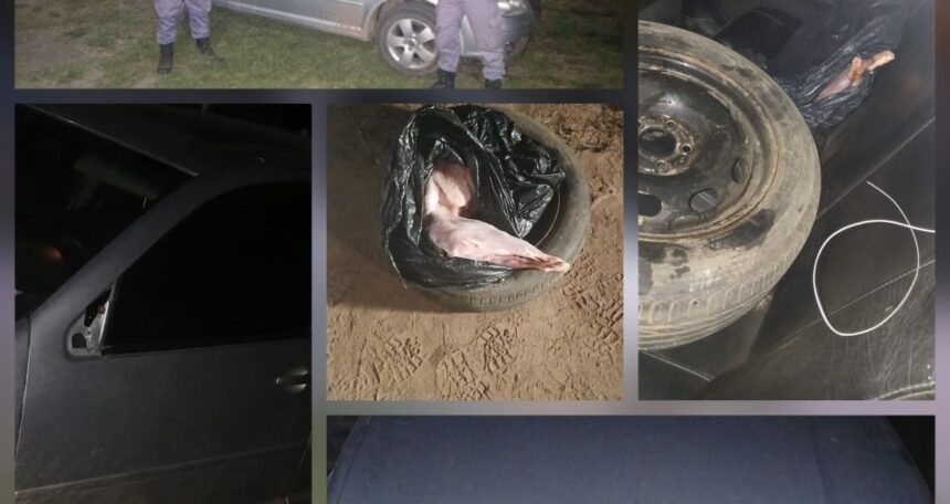 MAKALLÉ: Pretendían Huir Tras Evadir De Un Control Por Transportar Un Animal Faenado