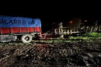 PINEDO: Un Camión Volcó Por El Mal Estado Del Camino En Mesón De Fierro