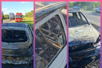 CHACO: Desperfecto Mecánico Causó El Incendio Total De Un Auto En Ruta 11