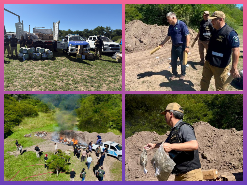 COLONIA BENÍTEZ:  Destruyeron Más De 3 Toneladas De Marihuana Y 80 Kilos De Cocaína