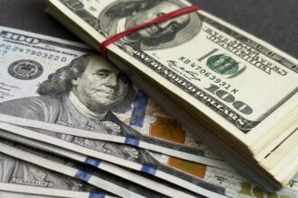 Argentina volvió al mercado y colocó un bono en dólares por USD 1.000 millones