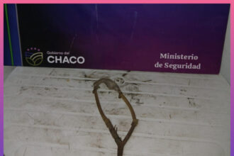 RESISTENCIA: Demoraron A Un Menor Por Arrojar Objetos Contra Vehículos
