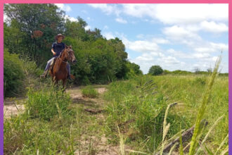 PAMPA DEL INDIO: Agentes Recuperan Vacas Sustraídas Y Aprehenden A Dos Personas Por Abigeato