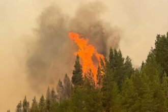 Los incendios forestales en Chubut no dan tregua y crece la preocupación