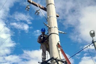 Alta Demanda En El Nea: Secheep Restableció El Suministro, Tras Una Afectación Transitoria