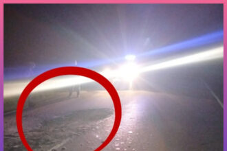 CHACO: El Mal Estado De La Ruta Provocó El Vuelco De Un Motociclista En Pampa Landriel