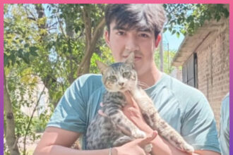 SAENZ PEÑA: Bomberos Realizaron Un Rescate Animal En El Barrio 50 Viviendas