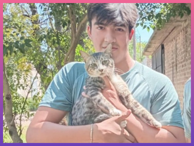 SAENZ PEÑA: Bomberos Realizaron Un Rescate Animal En El Barrio 50 Viviendas