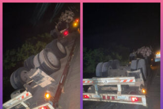 CHACO: Vuelco De Camión Con 22 Toneladas De Quebracho En Ruta Provincial 9