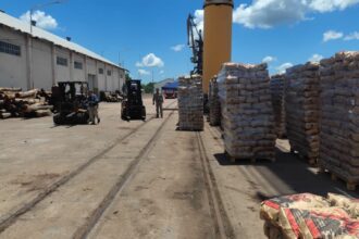 El Puerto De Barranqueras Concretó Una Nueva Exportación De Carbón Vegetal A Brasil