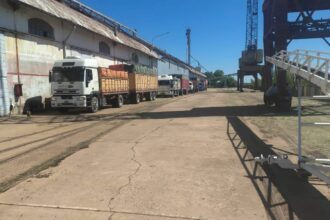 El Puerto De Barranqueras Inició El Año Con La Recepción De 150 Toneladas De Semillas De Girasol