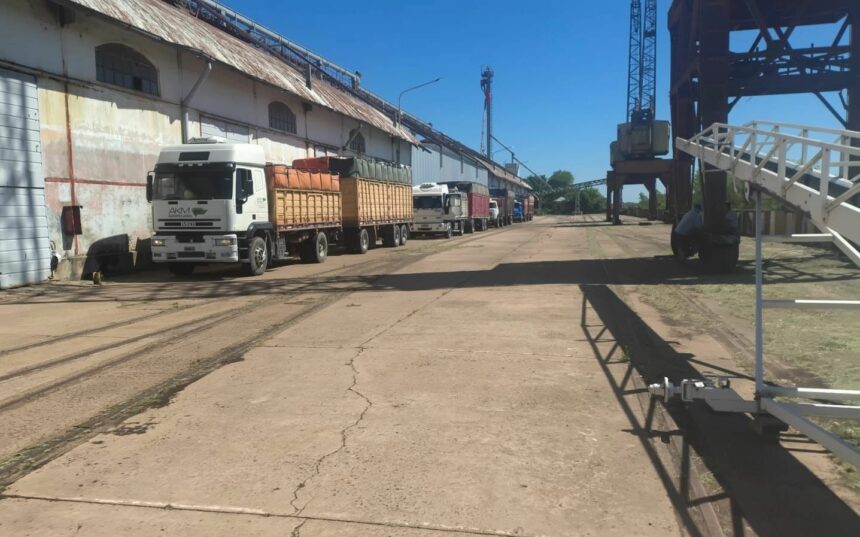 El Puerto De Barranqueras Inició El Año Con La Recepción De 150 Toneladas De Semillas De Girasol