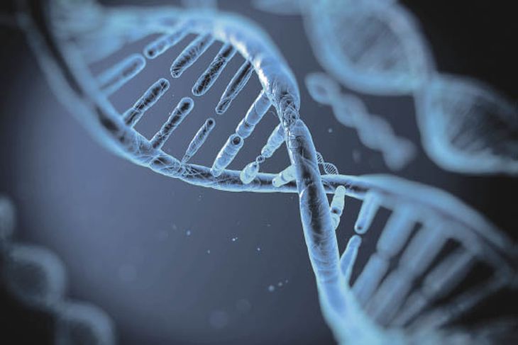 Google presentó AlphaGenome, una IA que podrá interpretar el ADN y predecir enfermedades Google presentó AlphaGenome, una IA que podrá interpretar el ADN y predecir enfermedades