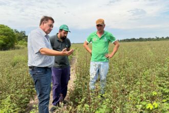 Las Breñas: El Gobierno Provincial Endurece Controles Contra El Uso De Herbicidas Prohibidos