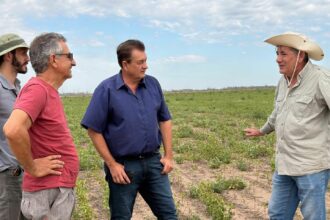 Los Frentones: El Gobierno Provincial Refuerza Controles Por El Uso Ilegal De Herbicidas