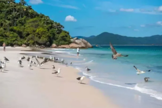 Los mejores destinos para vacacionar en Brasil, según la IA