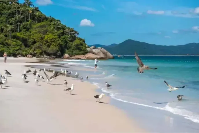 Los mejores destinos para vacacionar en Brasil, según la IA