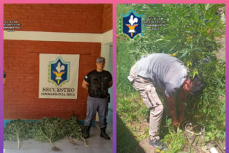CHACO: Durante Patrullaje Preventivo Secuestran Plantas De Marihuana
