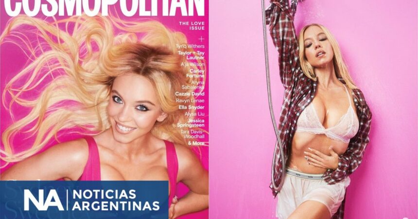 Sydney Sweeney reveló qué busca en un hombre y confesó que su éxito es un problema para tener novio Sydney Sweeney reveló qué busca en un hombre y confesó que su éxito es un problema para tener novio