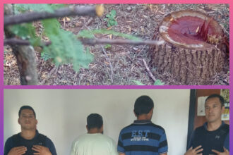 CHACO:  Detienen A Dos Personas Por La Tala De Quebracho Colorado En Zona De Reserva