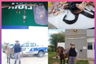 CHACO: Seis Procedimientos Con Secuestros De Armas, Animales Y Carne