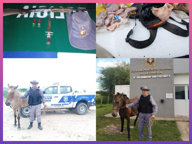 CHACO: Seis Procedimientos Con Secuestros De Armas, Animales Y Carne