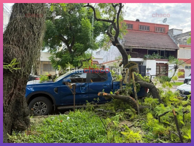 RESISTENCIA: Una Rama De Un Árbol Aplastó Una Camioneta En Pleno Centro