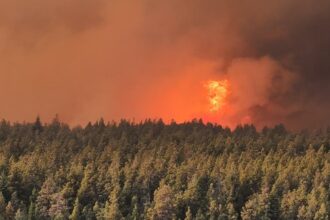 Gobernadores patagonicos le solicitaron a la Nación que declare la emergencia ígnea por los incendios