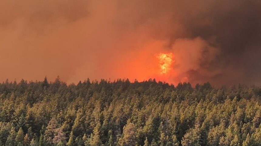 Gobernadores patagonicos le solicitaron a la Nación que declare la emergencia ígnea por los incendios