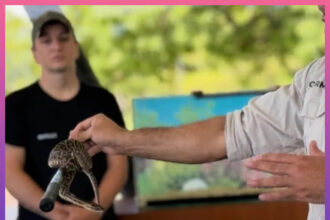 CHACO: Dictan Charlas Gratuitas Sobre Manejo De Ofidios Y Primeros Auxilios