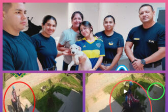 SÁENZ PEÑA: Mediante Intensas Tareas Investigativas Recuperan A “Thor”