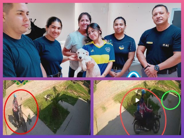 SÁENZ PEÑA: Mediante Intensas Tareas Investigativas Recuperan A “Thor” SÁENZ PEÑA: Mediante Intensas Tareas Investigativas Recuperan A “Thor”