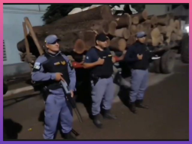 TACO POZO: Secuestraron Más De 100 Rollos De Quebracho En Un Operativo De Control Forestal