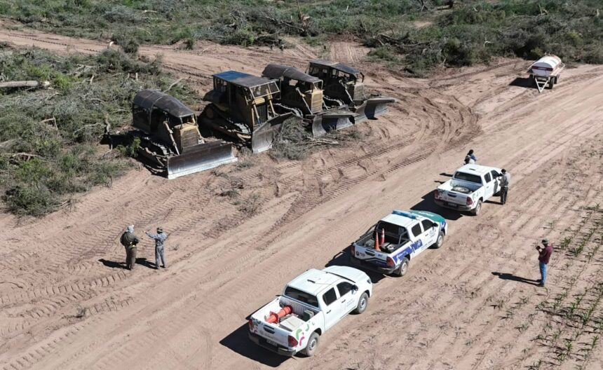 Desmonte Ilegal En Río Muerto: “van A Tener Que Vender El Campo Para Pagar La Multa” Afirmó Dudik