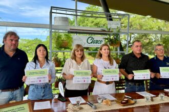 Rumbo A La Bienal 2026: Capacitarán A Taxistas Y Remiseros Como “anfitriones Turísticos” En Resistencia