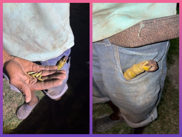 SAN MARTÍN: Demoran A Un Joven Con Cocaína Y Un Arma Casera