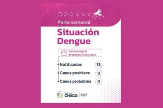 Chaco Sin Casos De Dengue: Refuerzan Las Medidas De Prevención
