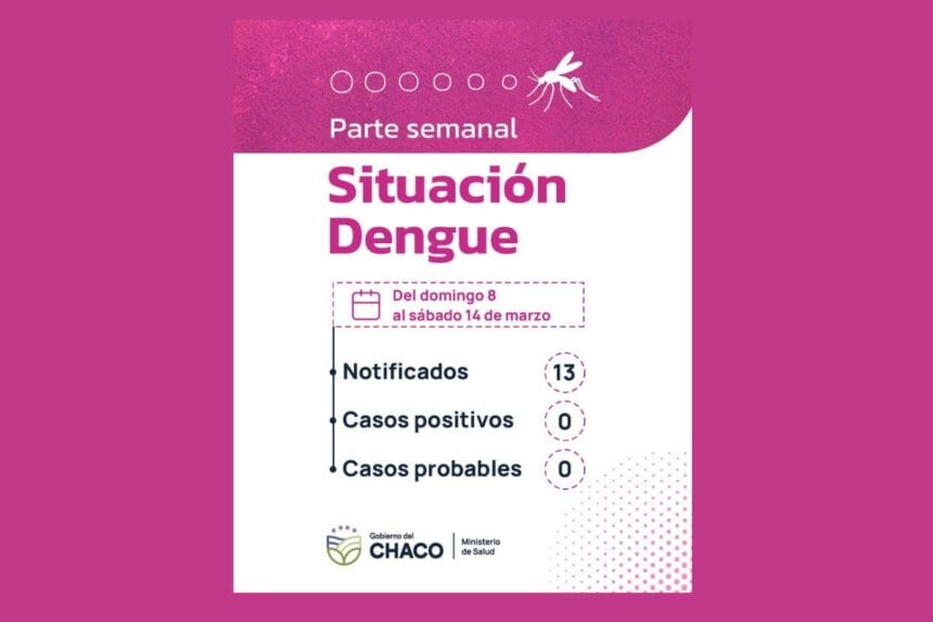 Chaco Sin Casos De Dengue: Refuerzan Las Medidas De Prevención