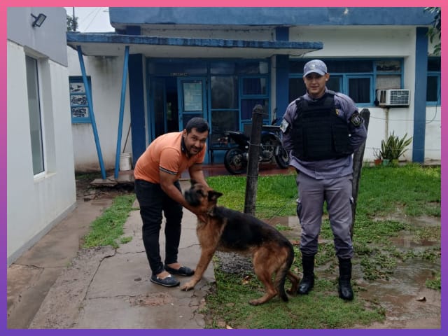 CIERVO PETISO: Recuperó A Su Perro Tras Haber Sido Dado En Adopción