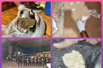 CHACO: Allanamiento Antidrogas: Secuestraron Cocaína, Marihuana Y Detuvieron A Un Hombre