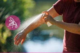 Salud Recuerda Medidas Claves Para Evitar Criaderos De Mosquitos