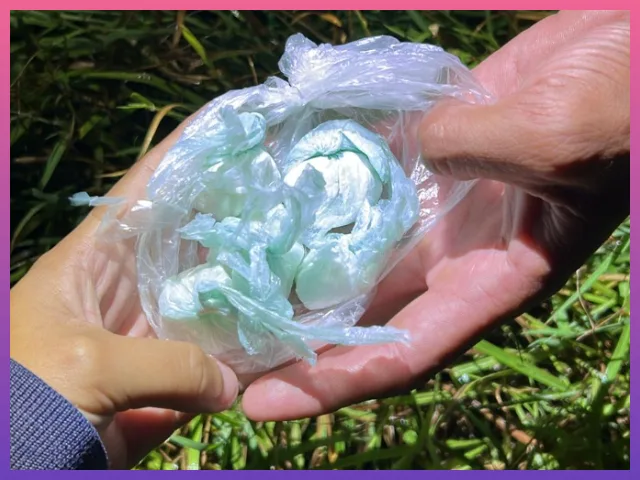 CAPITÁN SOLARI: Un Motociclista Huyó De Un Control Y Descartó Estupefacientes Para Evitar Su Captura