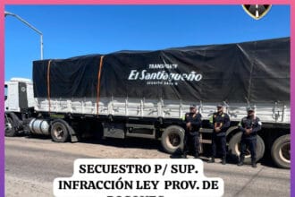 VILLA ANGELA: Interceptan Camión Con 25 Toneladas De Carbón Por Irregularidades En La Documentación Forestal