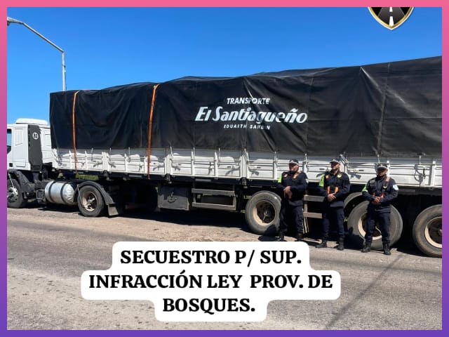 VILLA ANGELA: Interceptan Camión Con 25 Toneladas De Carbón Por Irregularidades En La Documentación Forestal