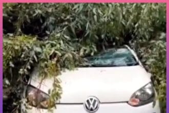 RESISTENCIA: Árbol Cayó Sobre Un Auto Durante El Fuerte Temporal